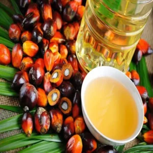 palm oil.webp